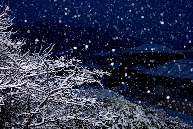 ドラマ【いちばんすきな花】今井美桜演じる「深雪夜々」の生きづらさとは？について考察します！のアイキャッチ